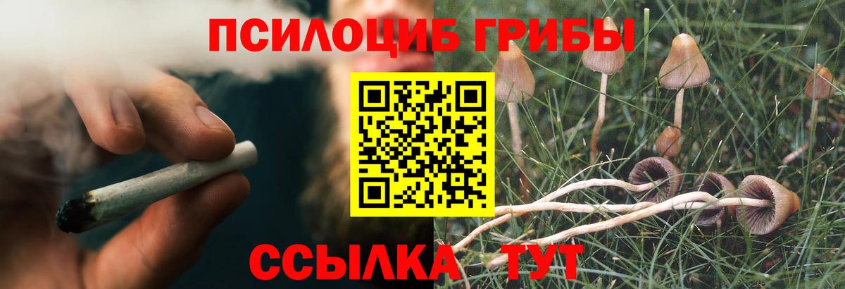 Псилоцибиновые грибы прущие грибы Морозовск